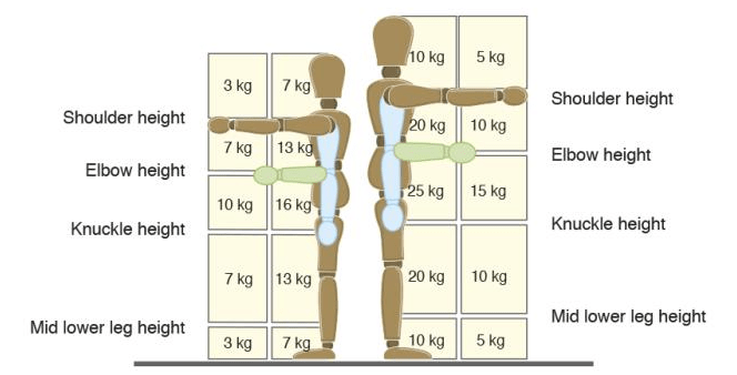 The HSE handling risk assessment filter