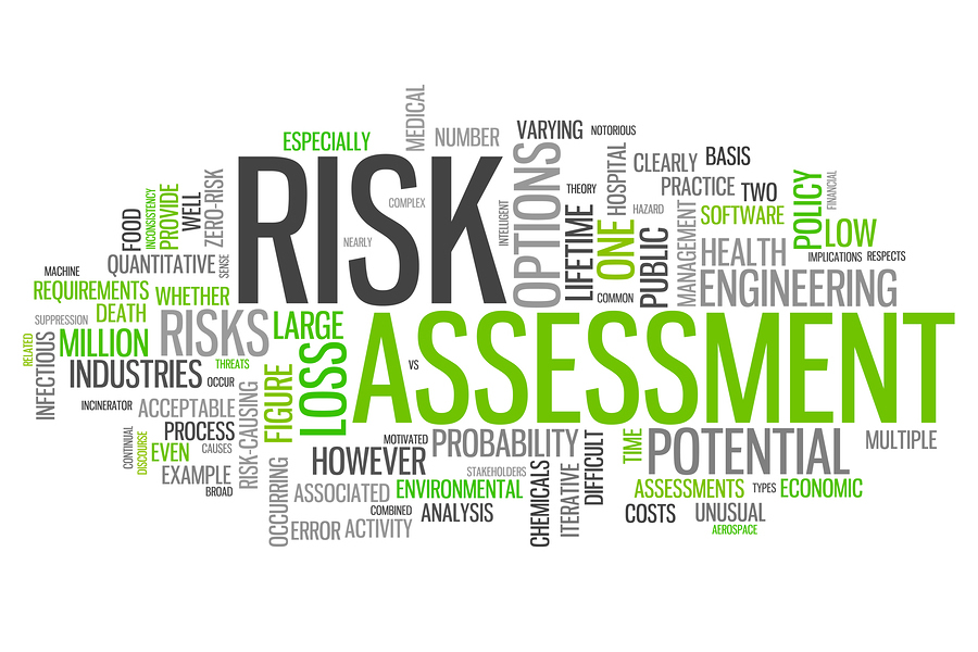 Risk Assessment word cloud